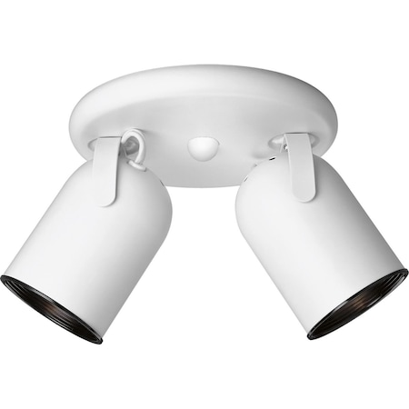 Progress Lighting Two-Light Multi Directional Roundback Wall/Ceiling Fixture P6149-30